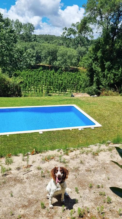 Quinta Do Sanguinhal Villa Rio Maior Dış mekan fotoğraf