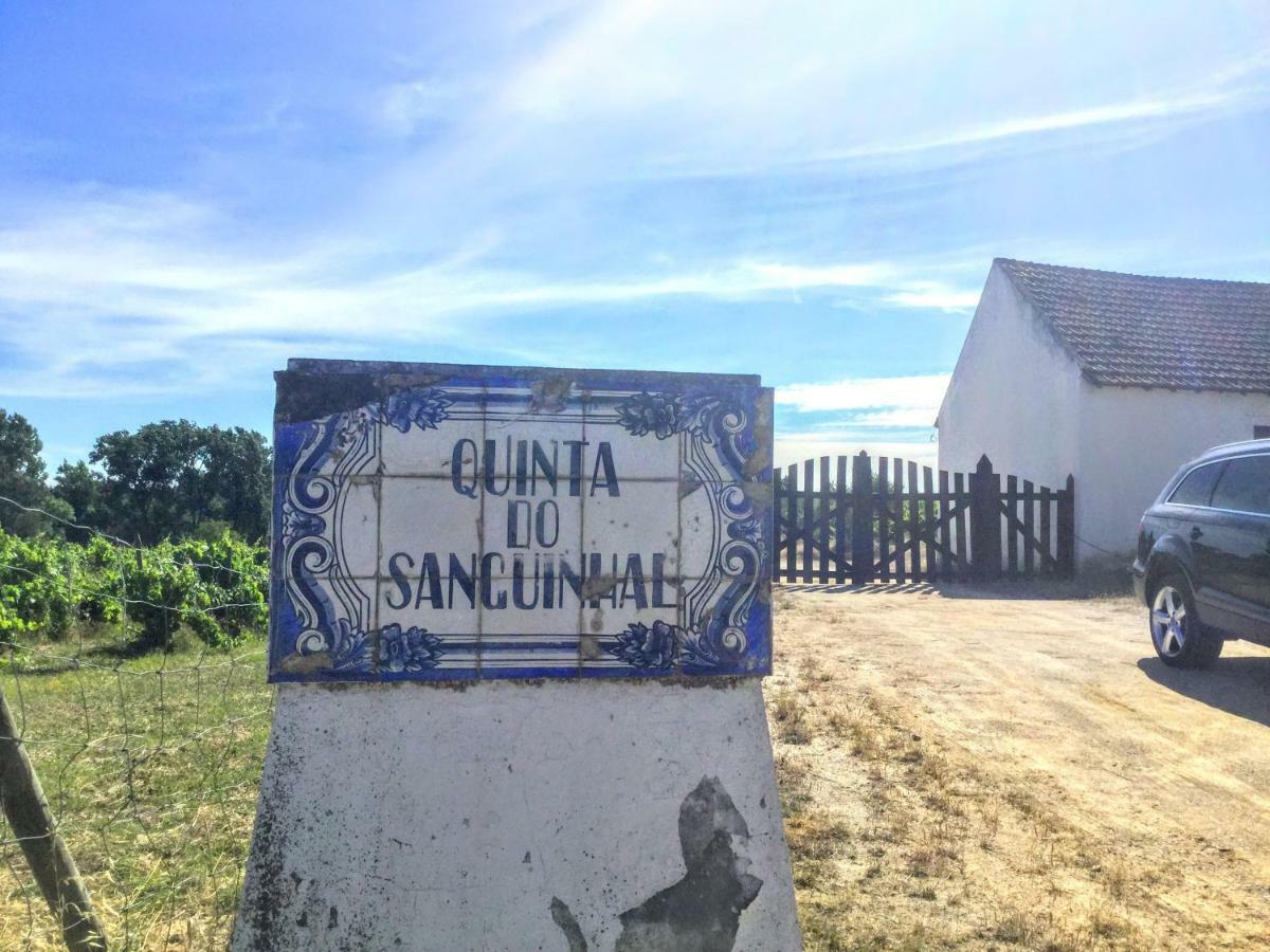Quinta Do Sanguinhal Villa Rio Maior Dış mekan fotoğraf