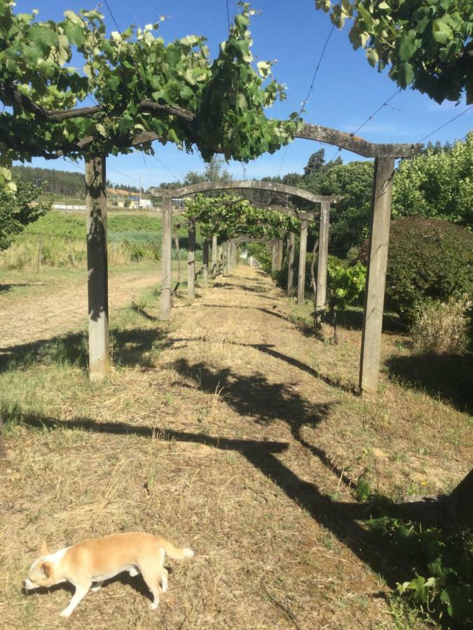 Quinta Do Sanguinhal Villa Rio Maior Dış mekan fotoğraf