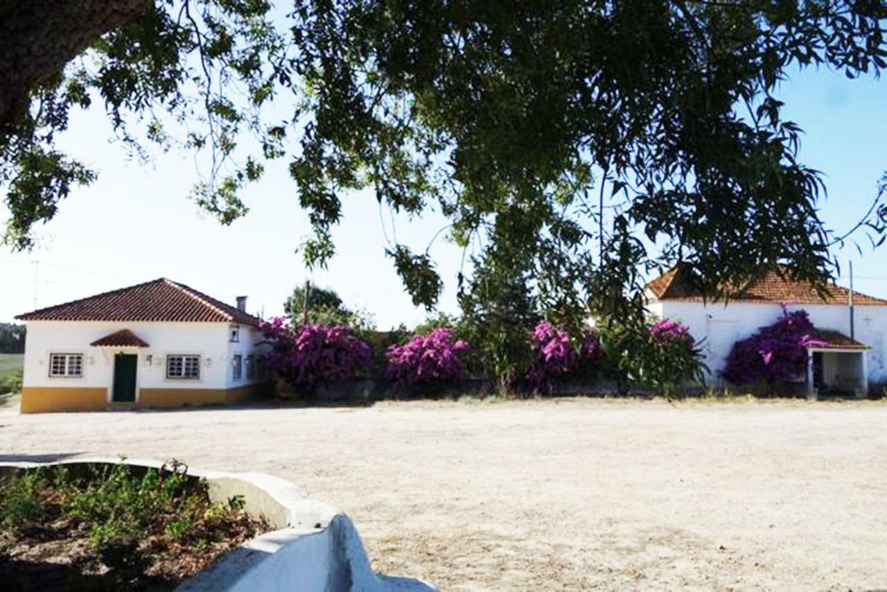 Quinta Do Sanguinhal Villa Rio Maior Dış mekan fotoğraf