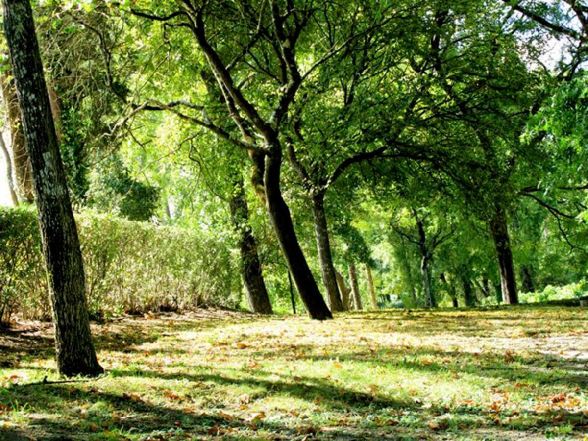 Quinta Do Sanguinhal Villa Rio Maior Dış mekan fotoğraf